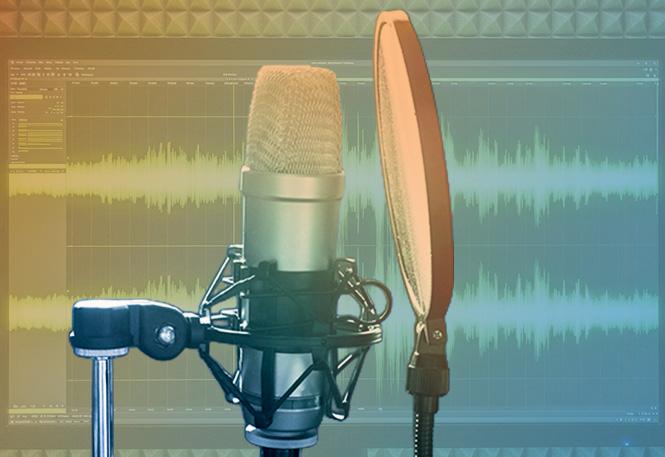 AI Speech Data Services